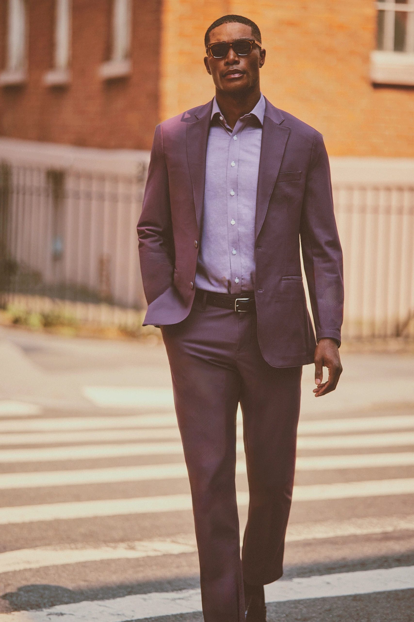 Plum-Temporary-Evegreen-1.jpg