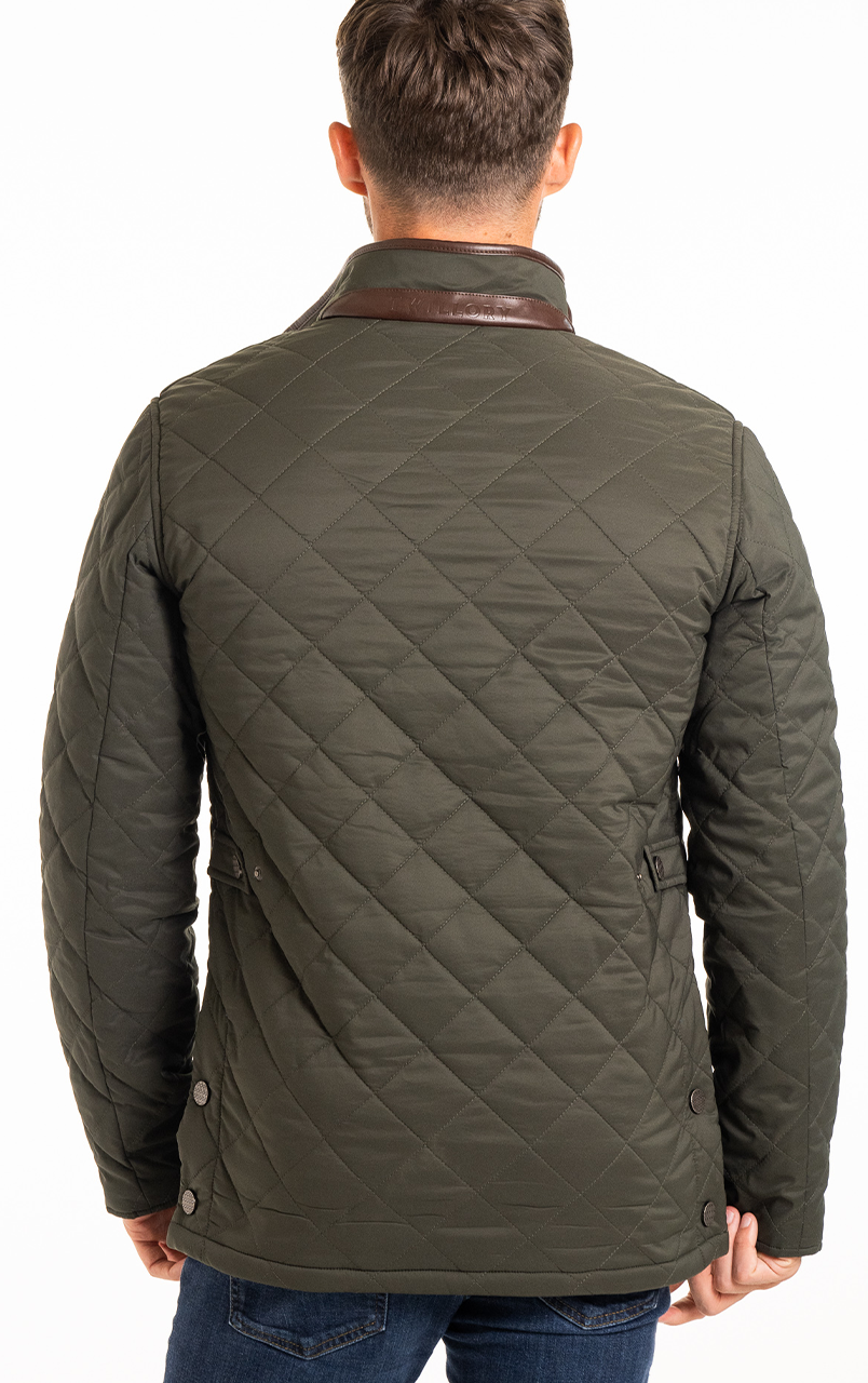 olive_MCQ004_2.png