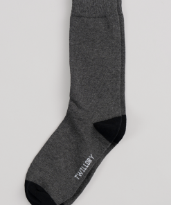 Grey Solid